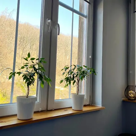 Pod Muflonem Hostal Wałbrzych