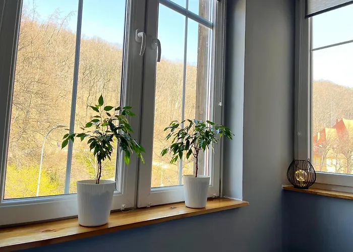 Pod Muflonem Hostel Walbrzych